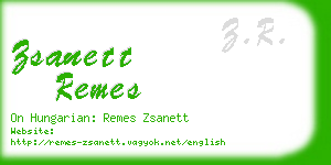 zsanett remes business card